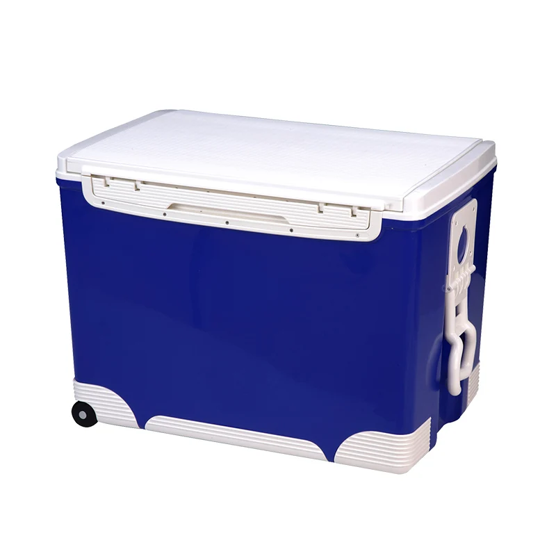 Chinese Plastic Manumotive Big Commercial Cooler Box Buy Commercial