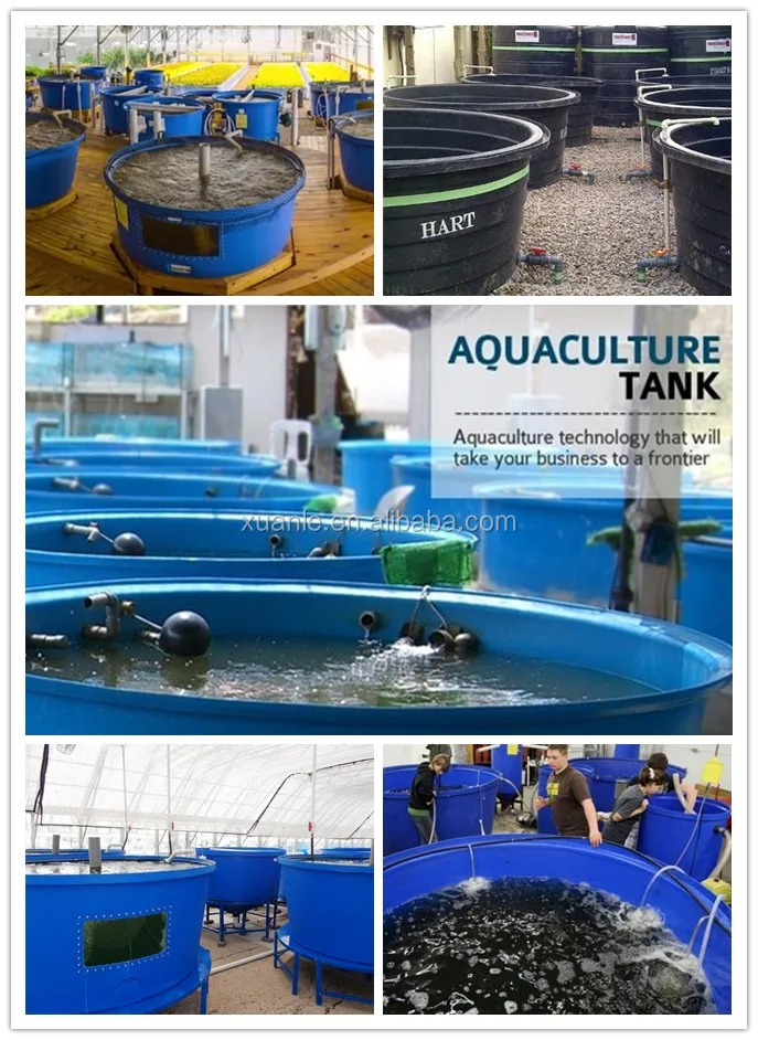 Wholesale Price Commercial Large Plastic Fish Breeding Tanks For