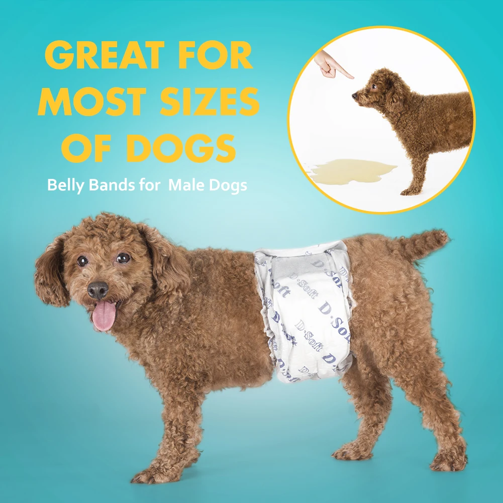 Pet Soft Disposable Dog Diapers New Super Absorbent Diapers For Dogs ...