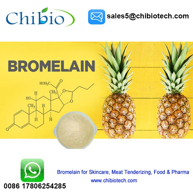 Food Cosmetics Pharma Grade Pineapple Bromelain Enzyme Powder Bulk For
