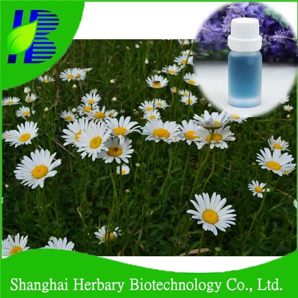 chamomile herbal oil
