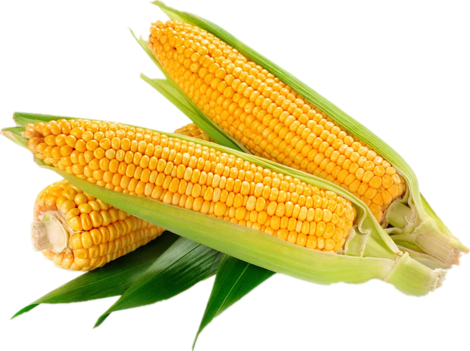 Nutritional Supplement Soluble Corn Fiber Buy Soluble Corn Fiber,Corn