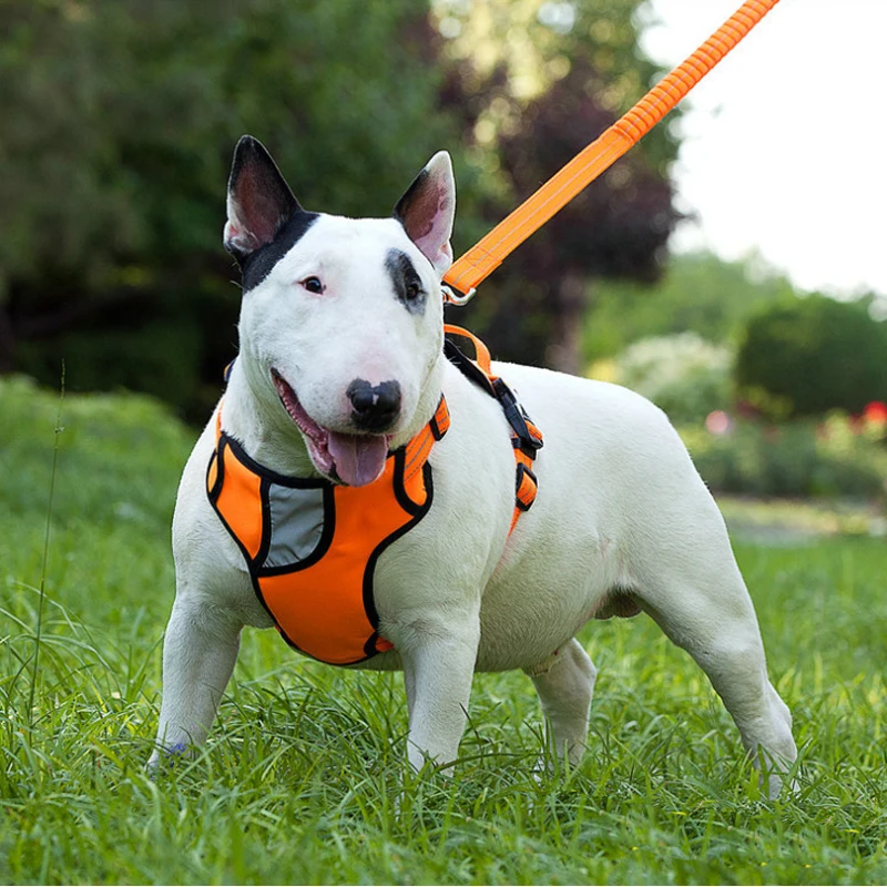 wholesale denim fabric dog harness and leash