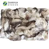 Neck squid, giant squid neck factory, frozen seafood squid neck wholesale