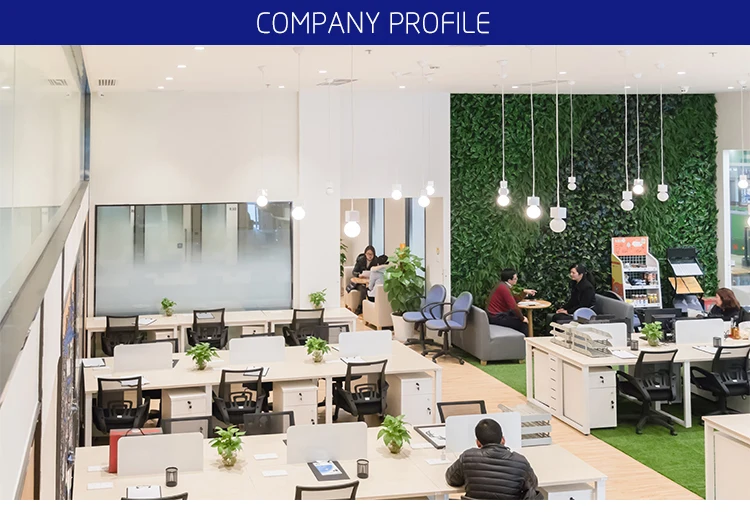 Company Profile.jpg