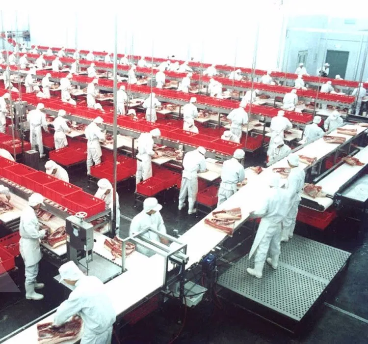 meat belt conveyor.JPG