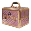 2019 new style professional portable beauty box makeup vanity case D2679G customized aluminum carry cosmetic case box