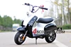 /product-detail/125cc-dirt-dog-pull-starter-gas-scooter-60602483978.html