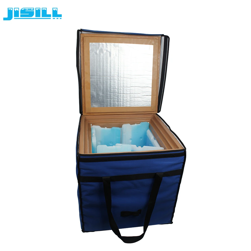 Portable Multifunctional Medical Blood Cooler Box With Ice Packs For