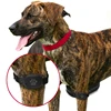 chip rastreador de animales gps tracker collar for dog cat pets