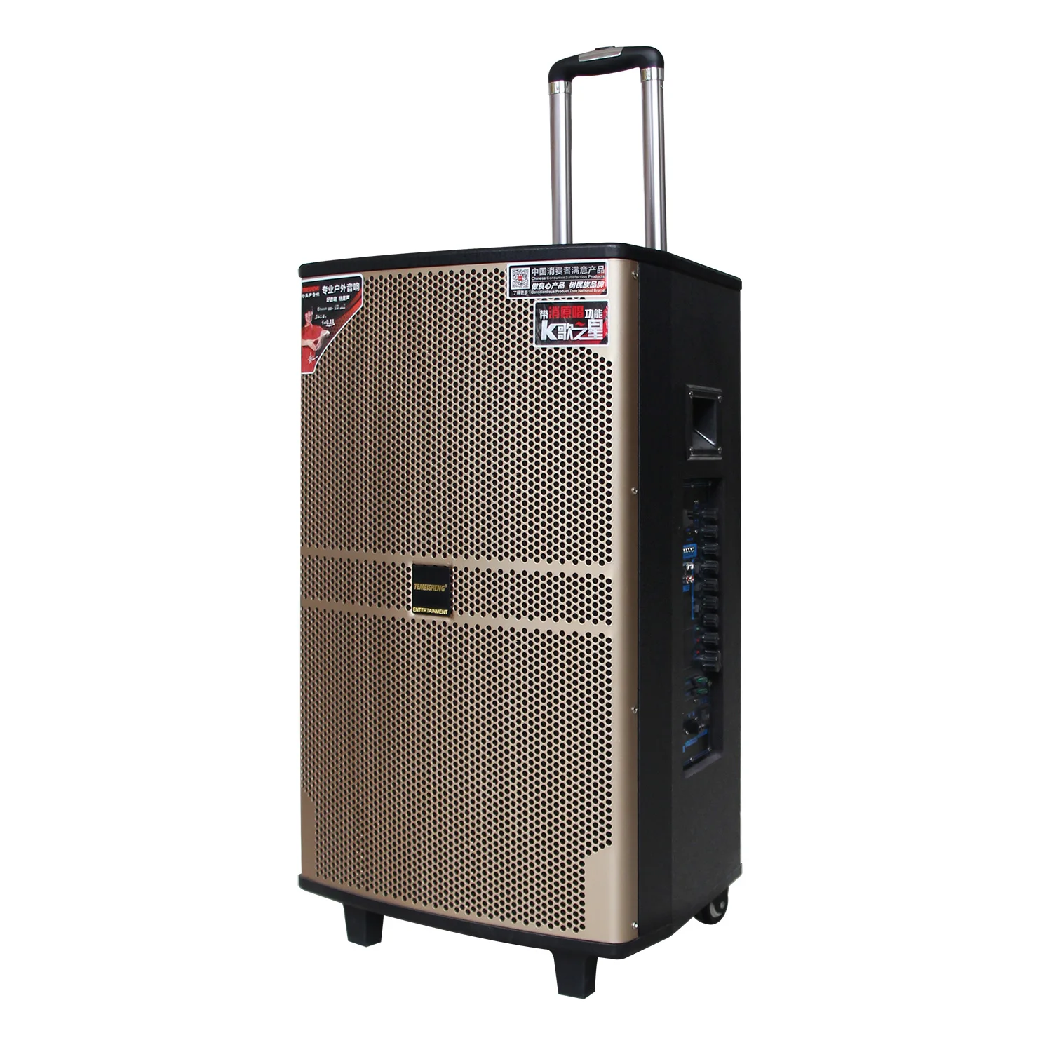 Temeisheng 12 Inch Professional Active Outdoor Sound Equipment Mobile