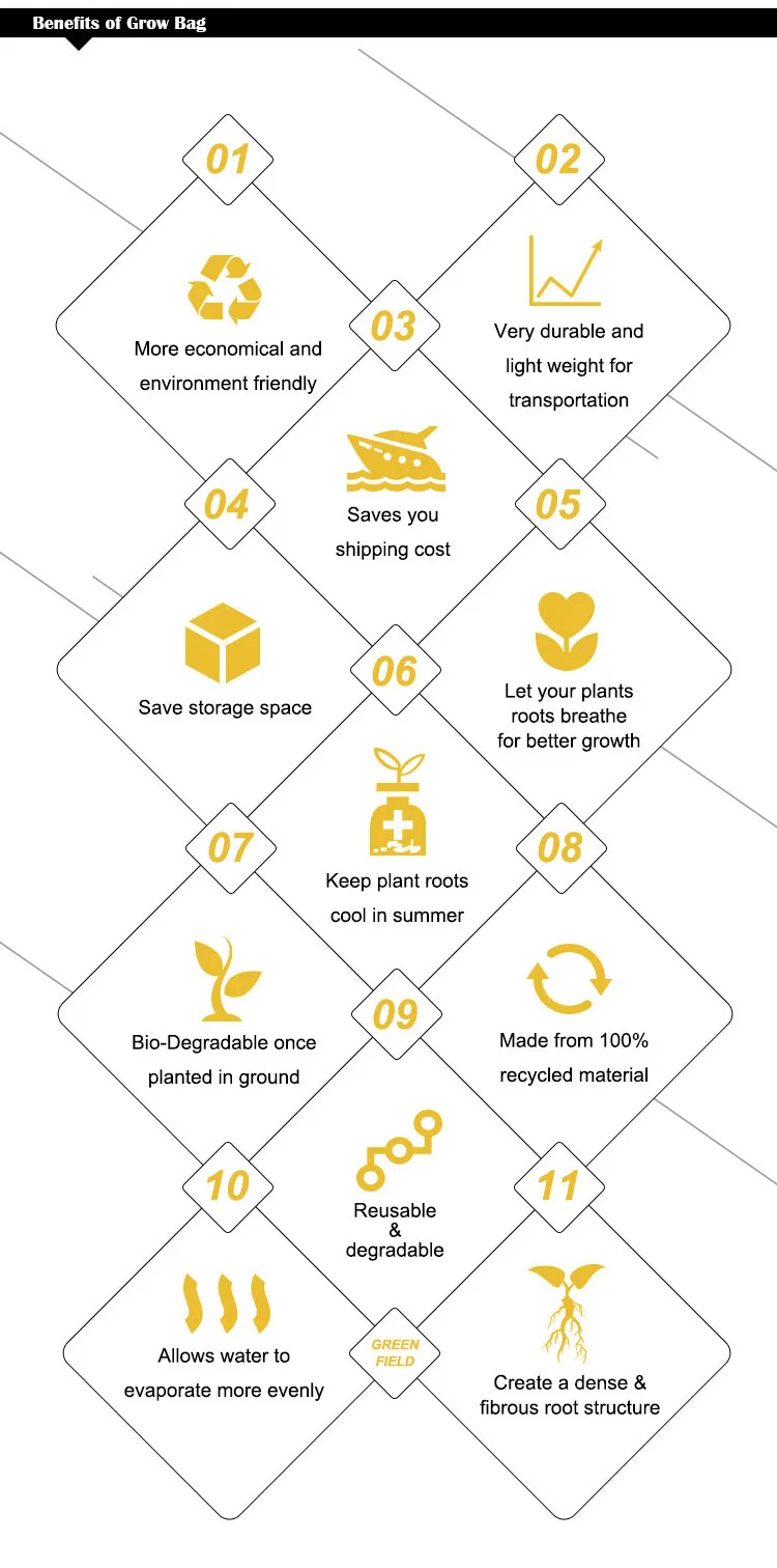 benefits of grow bag1.jpg