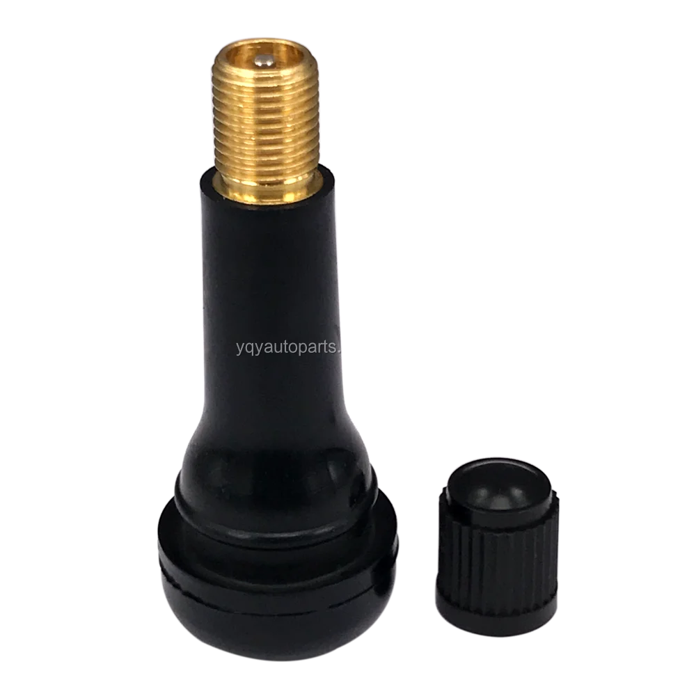 schrader tubeless valve stem