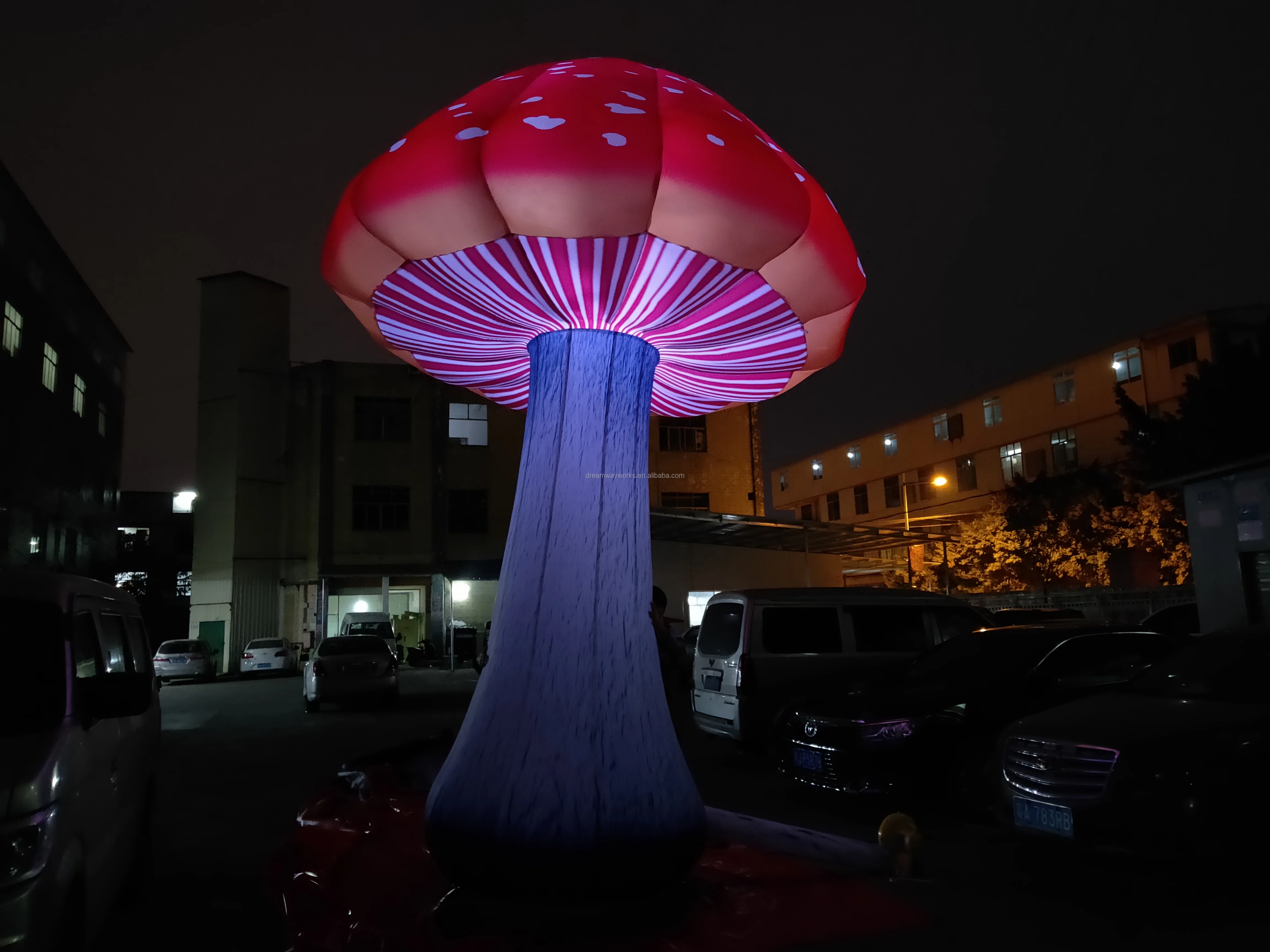 mushroom (2).jpg