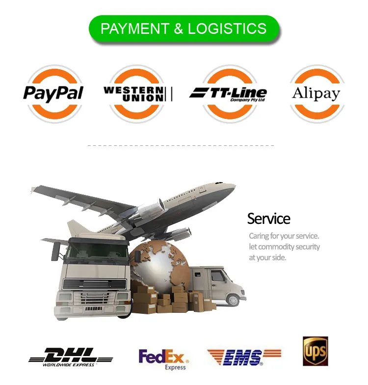 PAYMENT-&-LOGISTICS