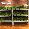 Cheaper pp material square garden cultivation plastic pot strawberry and vegetables planter box