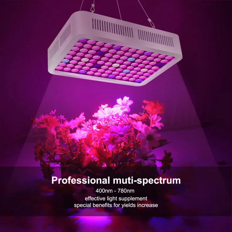 2019 Best Price 300W hydroponic growing systems LED Grow Lights for Indoor Plants.jpg
