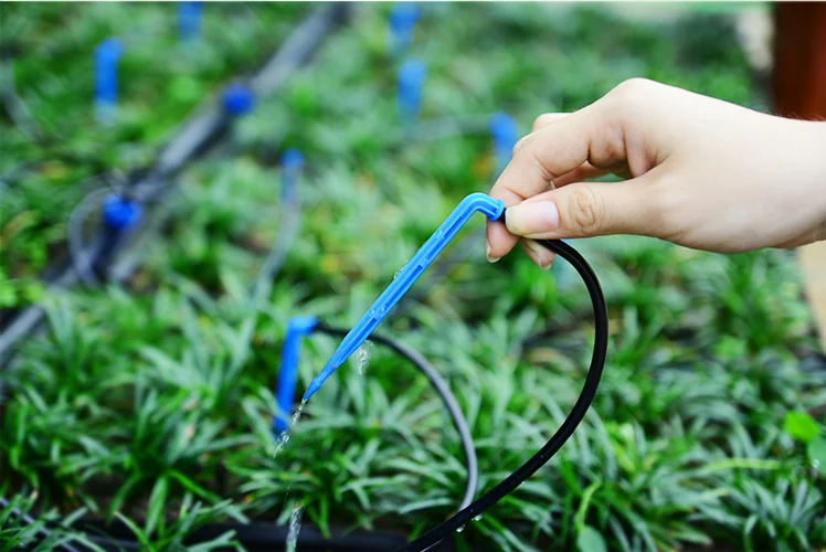 Arrow Rippers Chinadrip Arrow Dripper - Efficient Greenhouse Irrigation