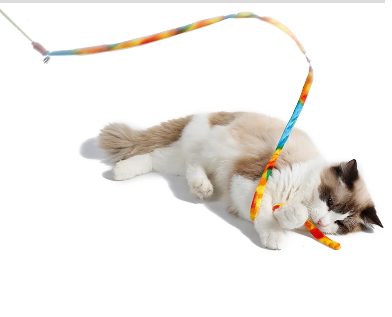 cat dangler toy