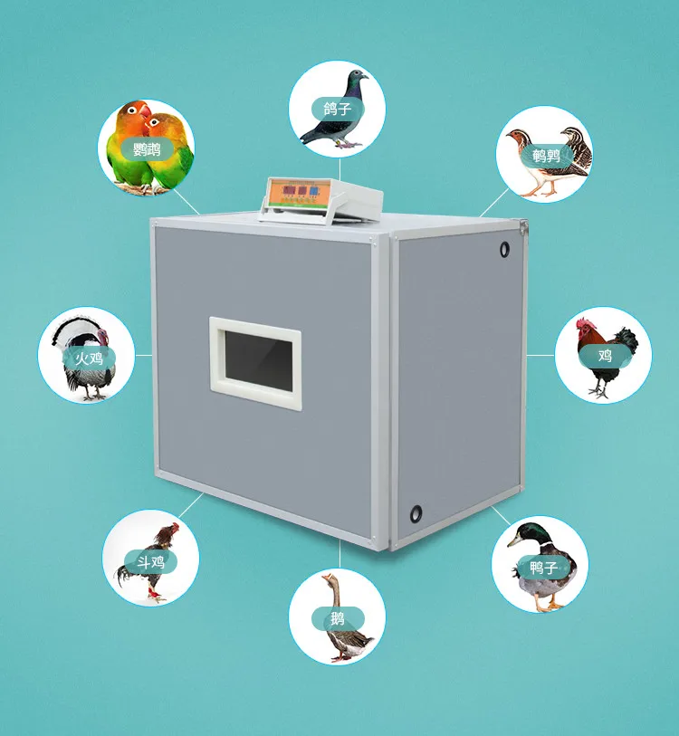 Automatic Poultry Egg Incubator And Hatcher For Sale In ...
