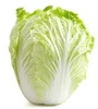 New fresh green Cabbage