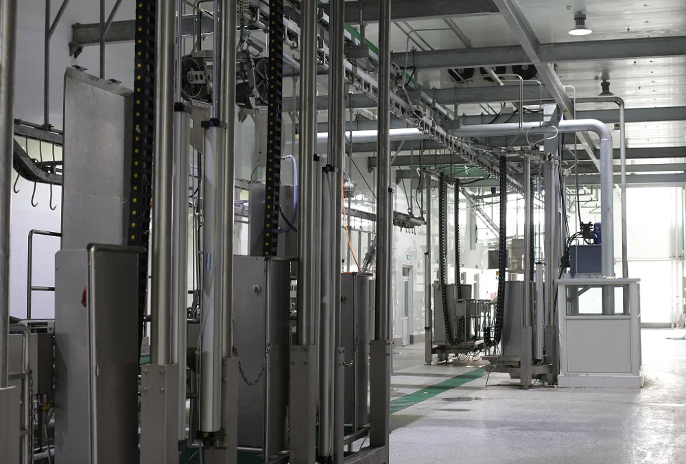 Large cattle slaughterhouse beef processing plant