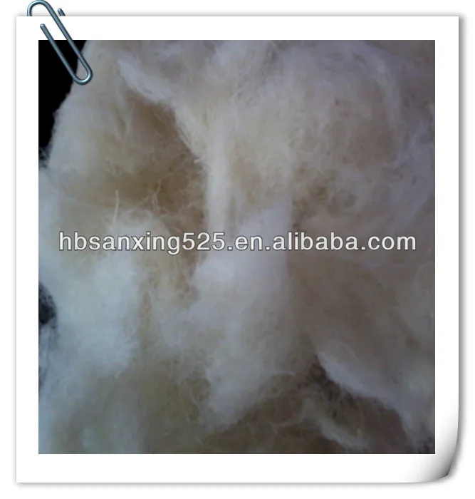 2014-03-21 15.55.00_.jpg