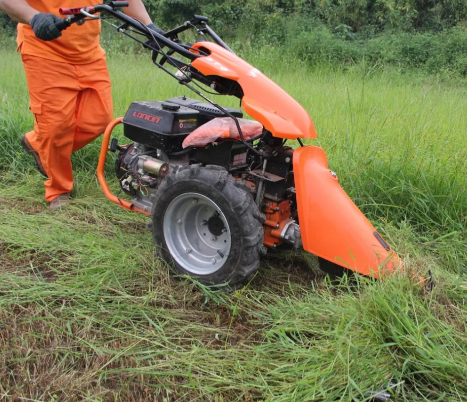 paste-pic-dp_uuid_cc47d