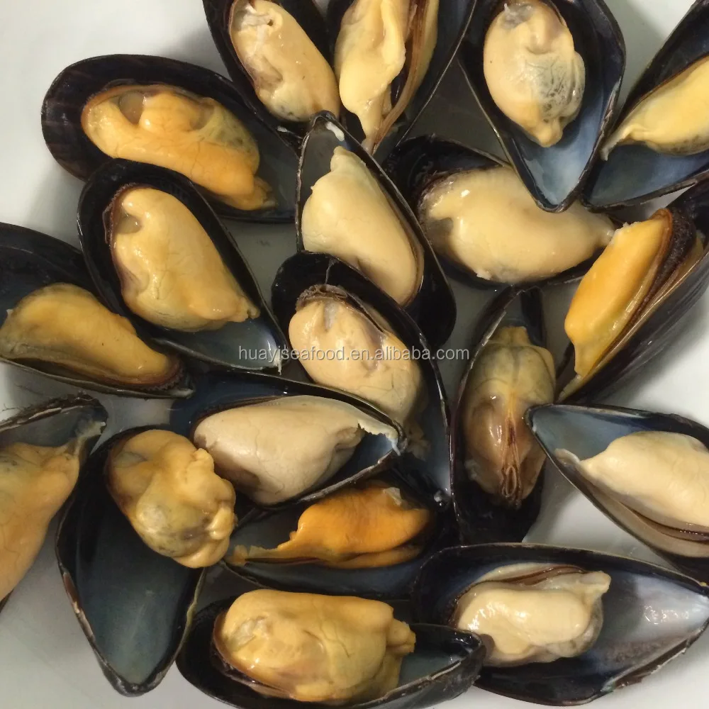 
frozen new fresh half shell mussel meat for sale 