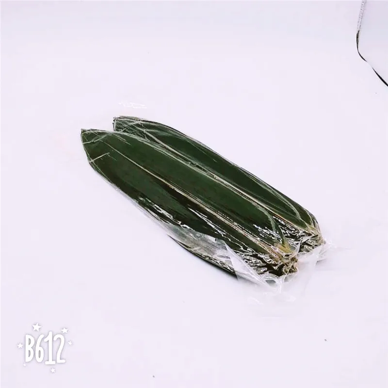 2971475e35580a0a3bc186162ef546e