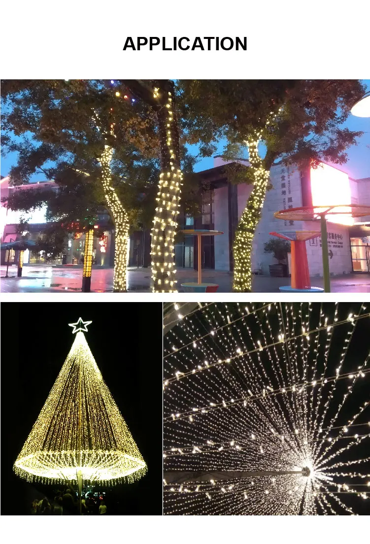Fairy lights  (1)
