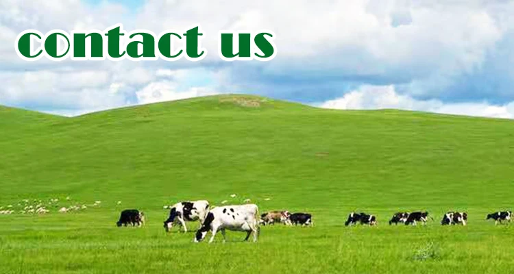 durable dairy farm animal piston best dairy mobile mini milking machine for farm portable