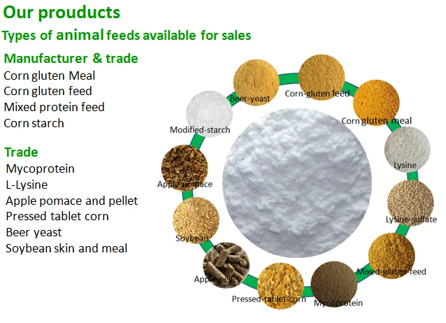 paste-pic-dp_uuid_tka74