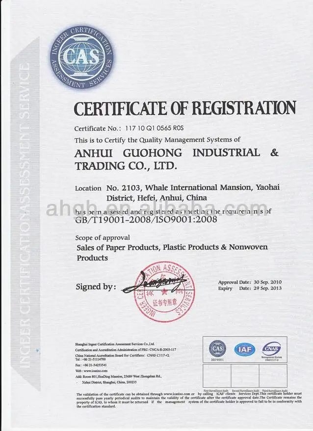 ISO 9001 certificate English version .jpg