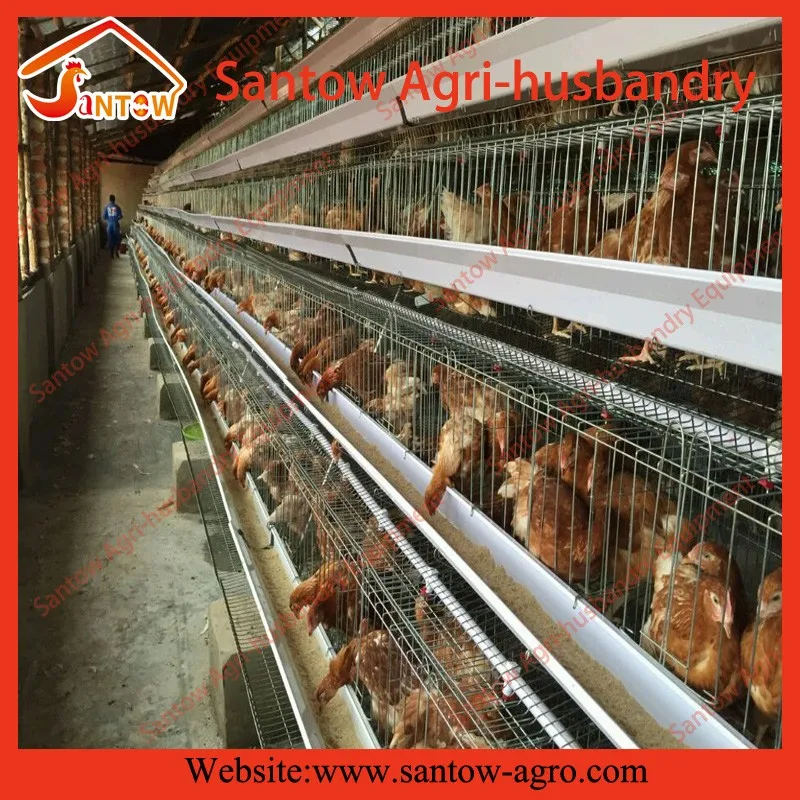 Automatic chicken cages hot galvanized poultry cage cheap price battery cage design for Uganda Nigeria Kenya Africa Philippines