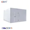 commercial cold room price for storing
