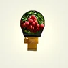 Hot sale 1.3 inch round TFT LCD 240*240 display module with RGB/SPI interface No MOQ Never End of Supply