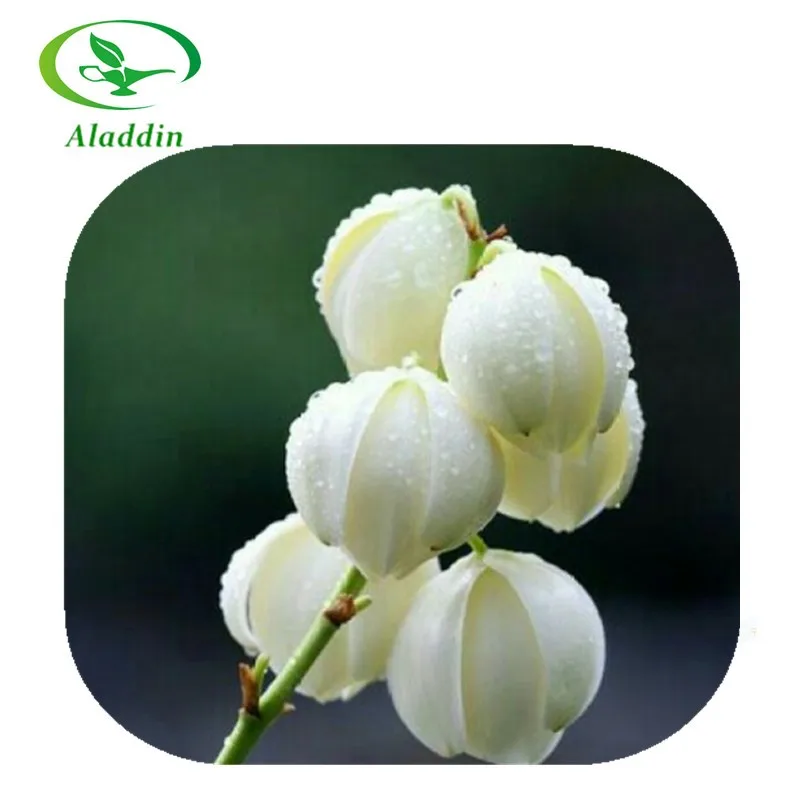 best quality yucca schidigera extract / yucca powder with 30%-60