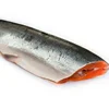 Hotsale Good Price Frozen Chum Salmon Fish Fillet