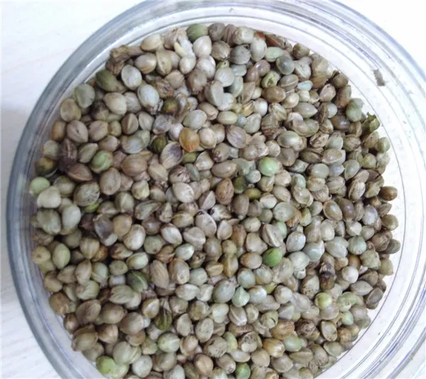 Hemp Seed Organic Poultry Chicken Feed Buy Organic Chicken Feed,For Hemp Seed