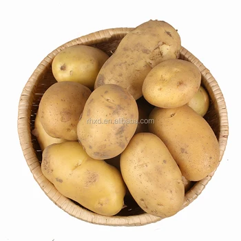 Wholesale Potatoes Fresh 20kg Bags Price Wholesale Potatoes Fresh 20kg Bags Price