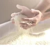 FOCUS Yeast Cell, Excellent source of natural nutrients
