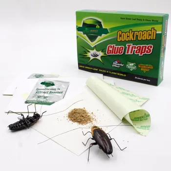 Bigger Stronger And More Effective Cockroach Paper Trap ...