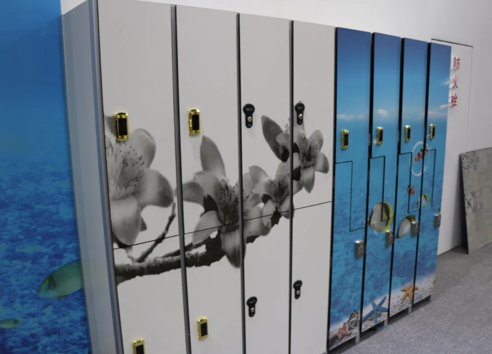 Antirust Compact Hpl Wood Gym Locker Buy High Quality Wood Gym Locker