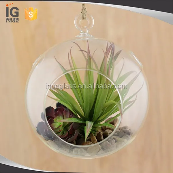 Clear Glass Hanging 45 Inch Round Ball Air Plant Terrarium Globe Buy Clear Glass Hanging 2480