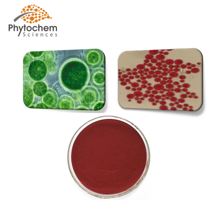 bioastin astaxanthin 12 mg