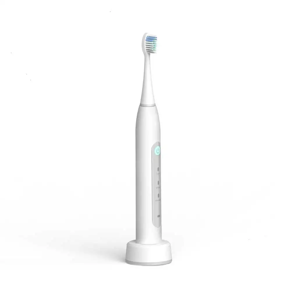 China Best Electric Toothbrush Factory For Providing Cheap New Electric
