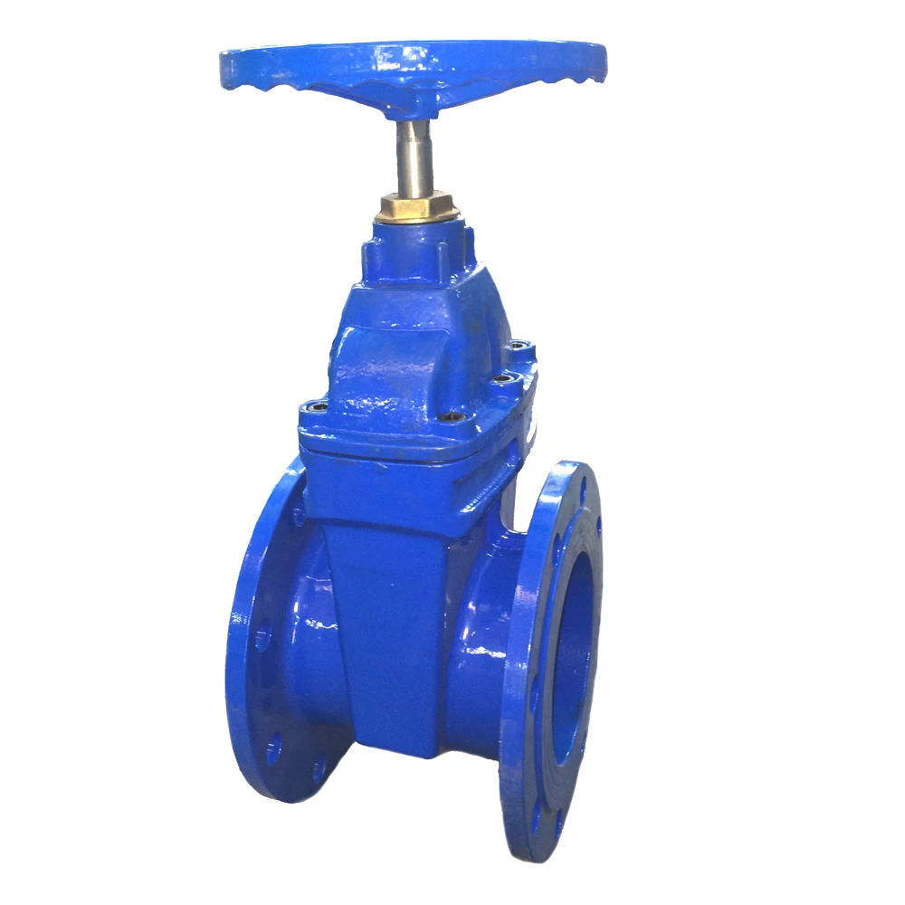 Ductile Iron Resilient Seated Gate Valve Dn125 - Buy Gate Valve Dn125 ...