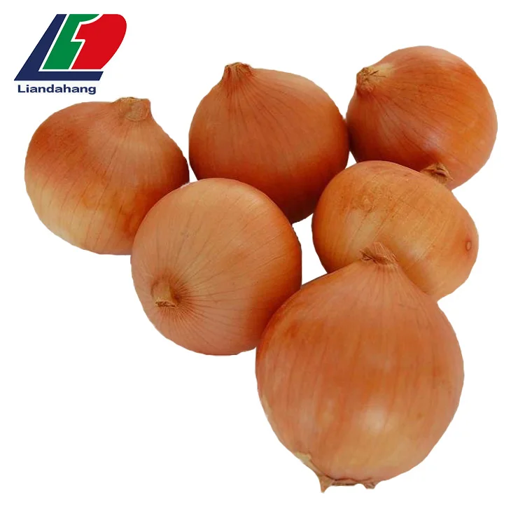 Superior 50mm Size Red Onion,Bulk Fresh Red Onion Importers In Vietnam