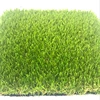 synthetic grass lawn moss control